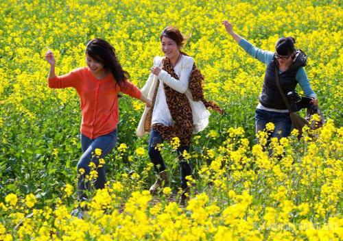 狀元雨無(wú)塔供水器_壓力罐_供水器_古城一日游