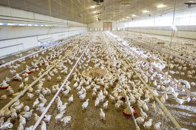 壓力罐在養殖產業中的應用范圍和選擇方法