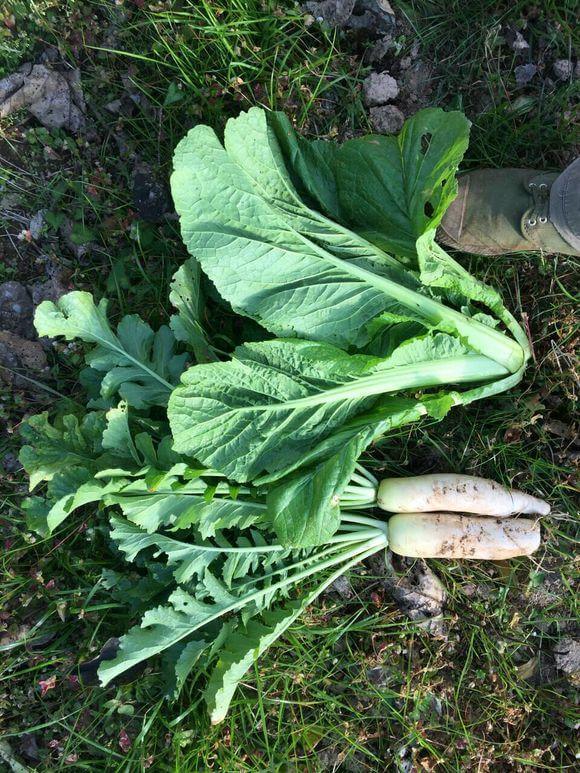 巧用壓力罐打造農村全自動供水系統